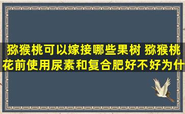 猕猴桃可以嫁接哪些果树 猕猴桃花前使用尿素和复合肥好不好为什么！